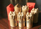 Outils à pastilles coniques de carbure de tungstène d'outils de perçage d'individu pour la barre d'ancre